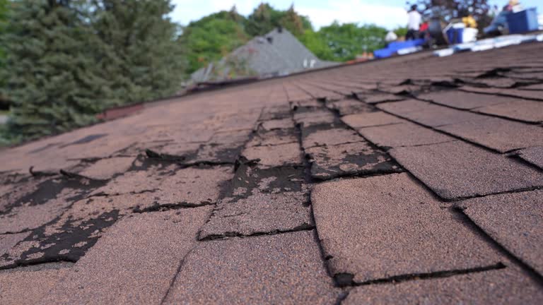 Fast & Reliable Emergency Roof Repairs in Malad City, ID